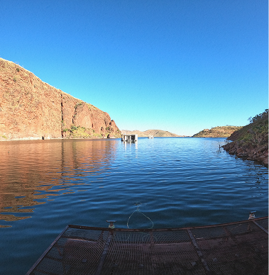 Lake Argyle Holiday Park